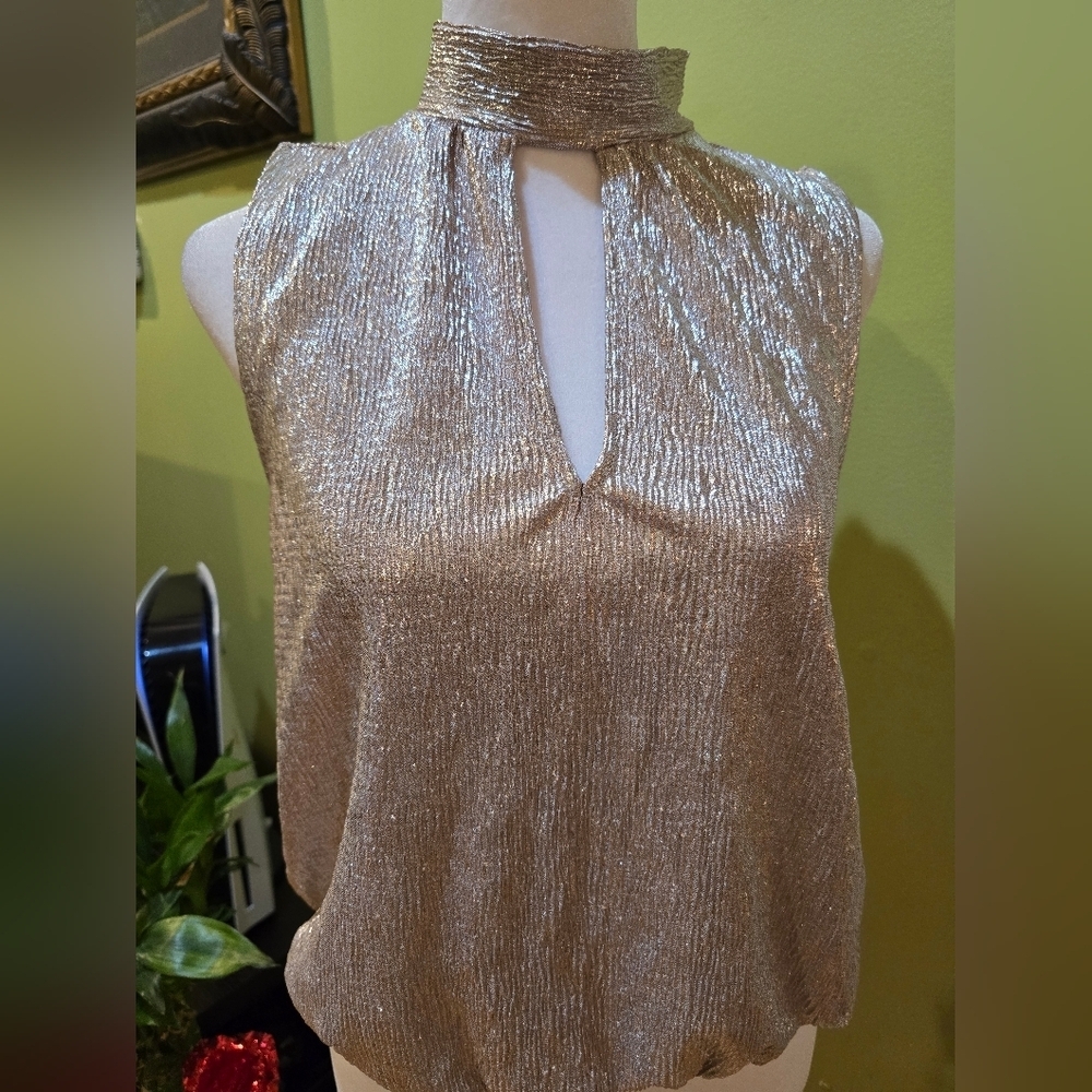 Shimmering Gold Sleeveless Top